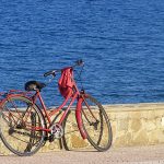  VIAJESConoce las cinco ciudades más “bike-friendly” de España 